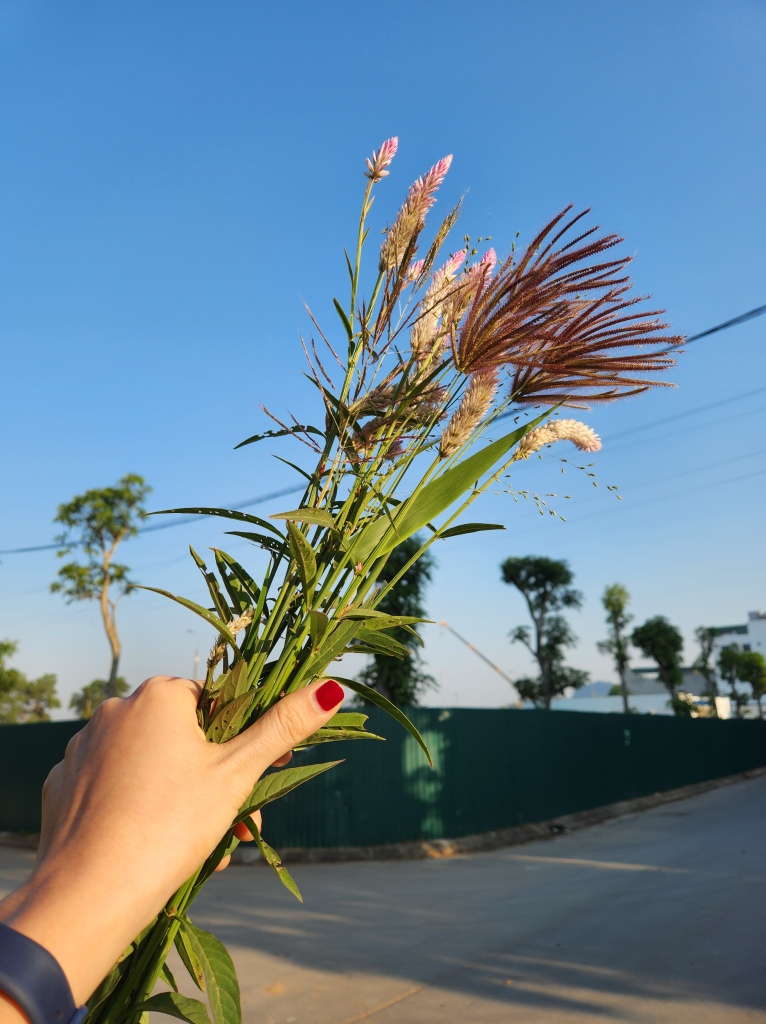 A bouquet of wildflowers I gave to my mom — my first teacher — on Vietnamese Teachers' Appreciation Day ^^